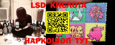 тгк Дмитров