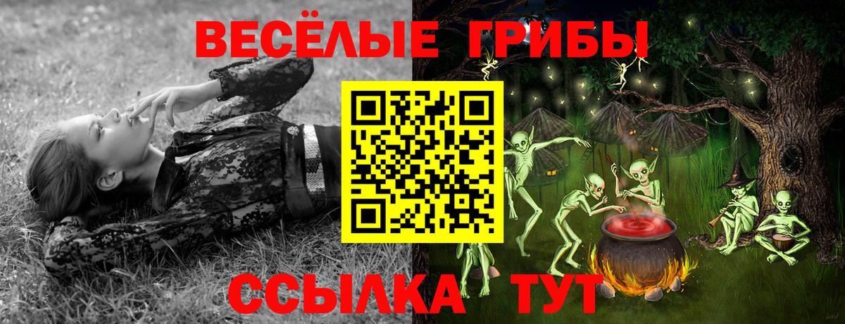 Галлюциногенные грибы MAGIC MUSHROOMS Реж