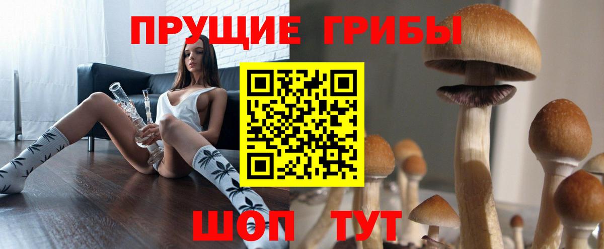 Реж  Галлюциногенные грибы GOLDEN TEACHER  Вход с VPN 